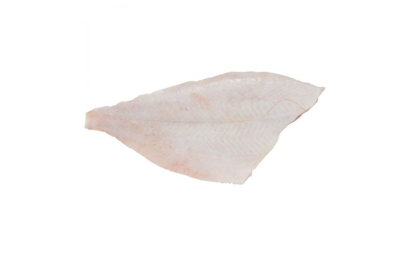 Wild Caught PBO Skin On Fluke Side