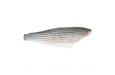 Wild Striped Bass Side 4-6 LB