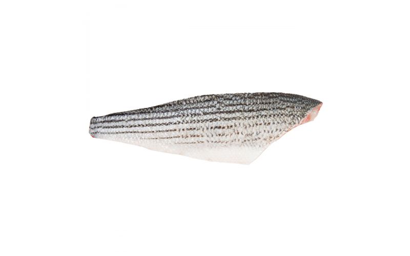 Wild Striped Bass Side 4-6 LB