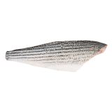 Wild Striped Bass Side 4-6 LB