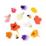 Organic Edible Flower Mix
