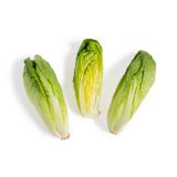 Hearts of Romaine