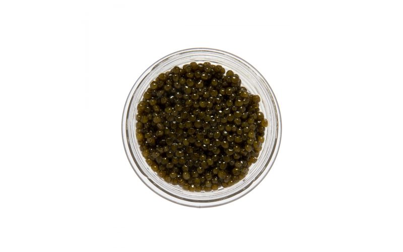 Polish Osetra Sturgeon Caviar