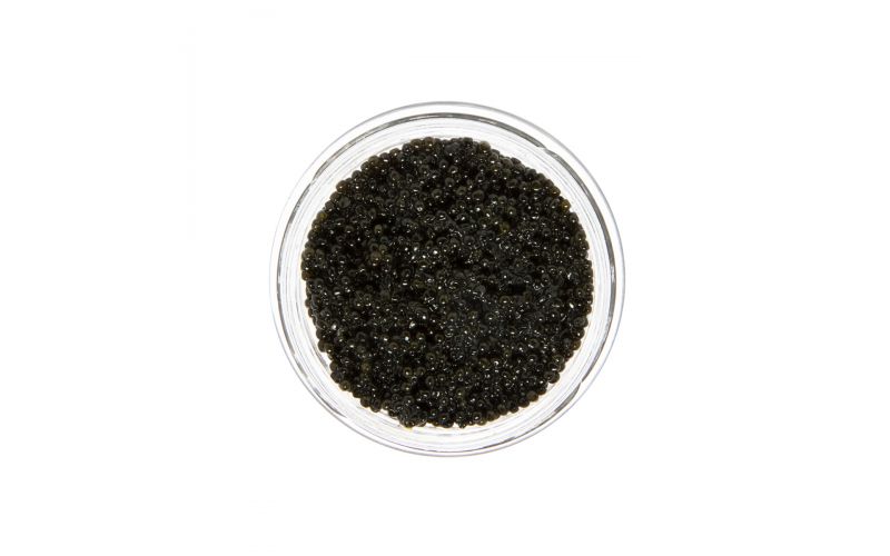 American Wild Hackleback Sturgeon Caviar