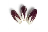 Organic Verona Radicchio