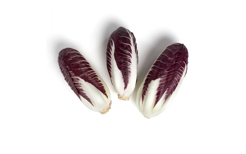 Organic Verona Radicchio