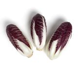 Organic Verona Radicchio
