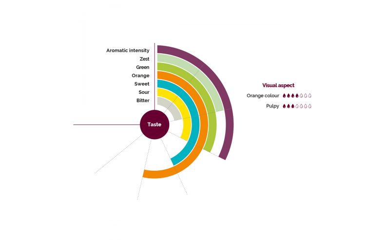 Clementine Puree PGI Corsica