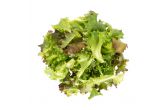 Mesclun
