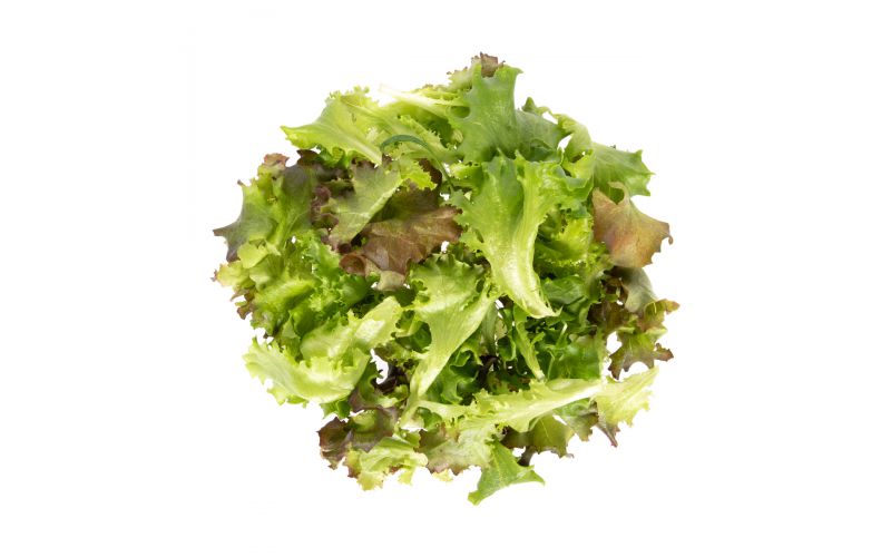 Mesclun
