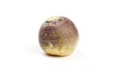 Organic Rutabaga