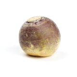 Organic Rutabaga