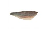 Farm Raised Branzino Portions PBO