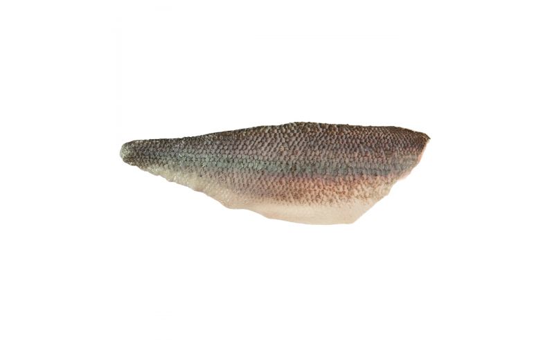 Farm Raised Branzino Portions PBO