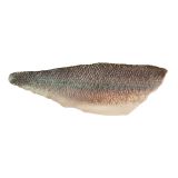 Farm Raised Branzino Portions PBO