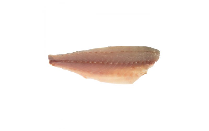 Farm Raised Branzino Portions PBO
