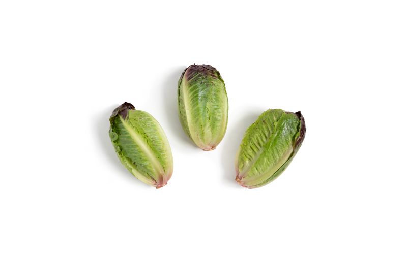 Ruby Ro-minis Romaine Lettuce