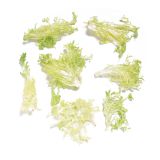 Platinum Blonde Frisee Salad