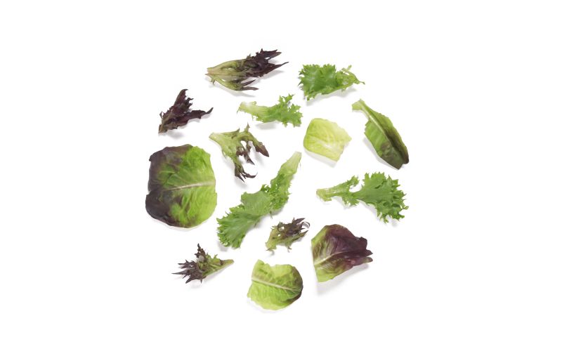 Ruby Arcadian Harvest Salad Mix