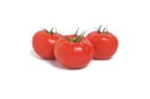 Beefsteak Tomatoes