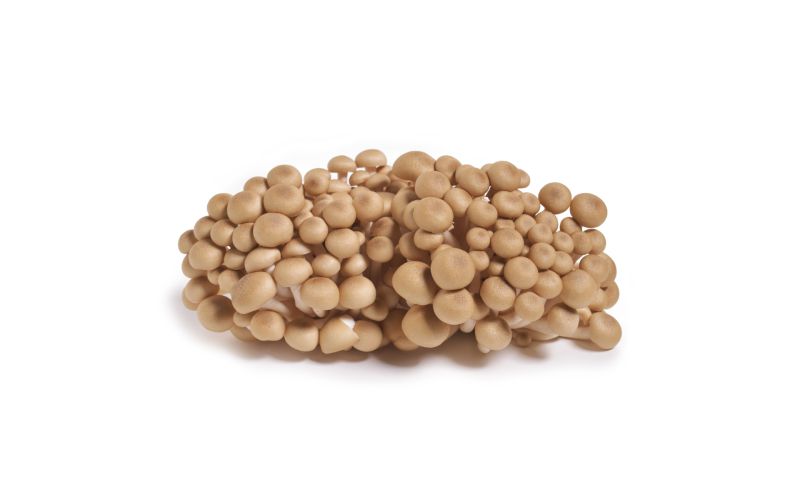 Organic Brown Beech Mushrooms