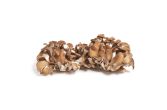 Organic Maitake Frondosa Mushrooms