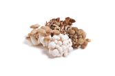 Organic Chef's Mix Mushrooms