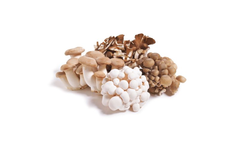 Organic Chef's Mix Mushrooms