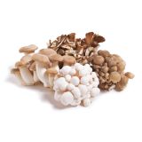 Organic Chef's Mix Mushrooms