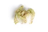 Organic California Castelfranco