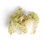 Organic California Castelfranco