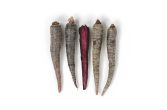 Organic Purple Carrots