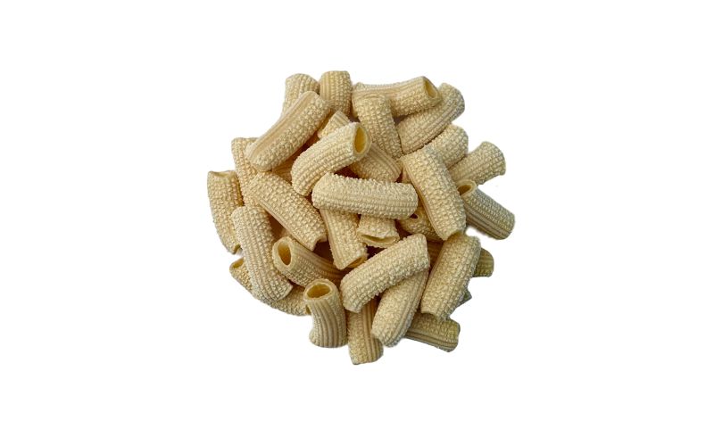 Fresh Rigatoni Pasta