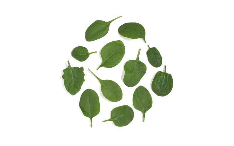 Organic Bloomsdale Spinach