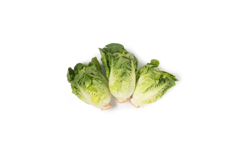 Andy Boy Little Gem Lettuce