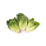 Andy Boy Little Gem Lettuce