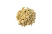 Fresh Cavatelli Pasta