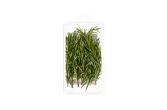 Organic Rosemary
