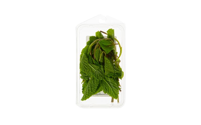 Organic Spearmint