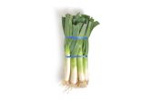 Canadian Long Leeks