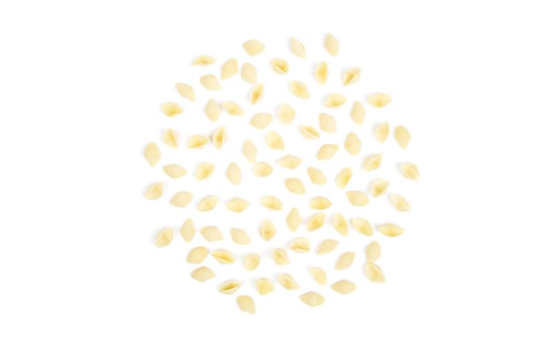 Organic Semolina Small Shells Pasta
