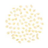Organic Semolina Small Shells Pasta