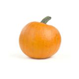Small Pumpkin