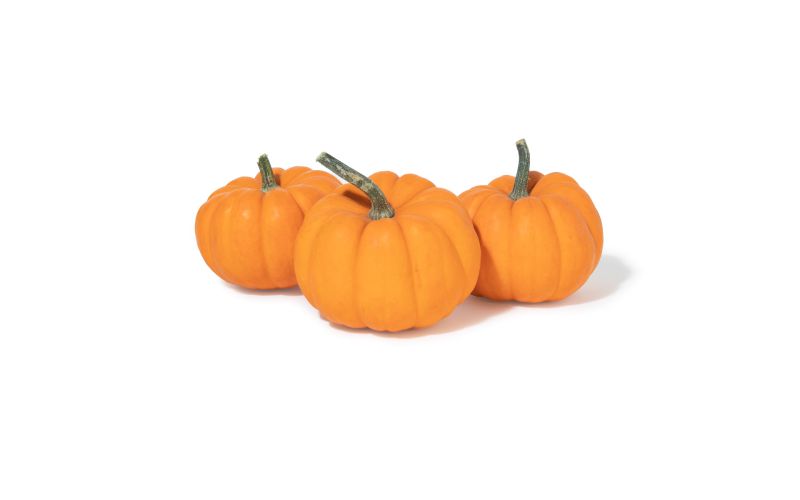 Orange Sparkler Pumpkins