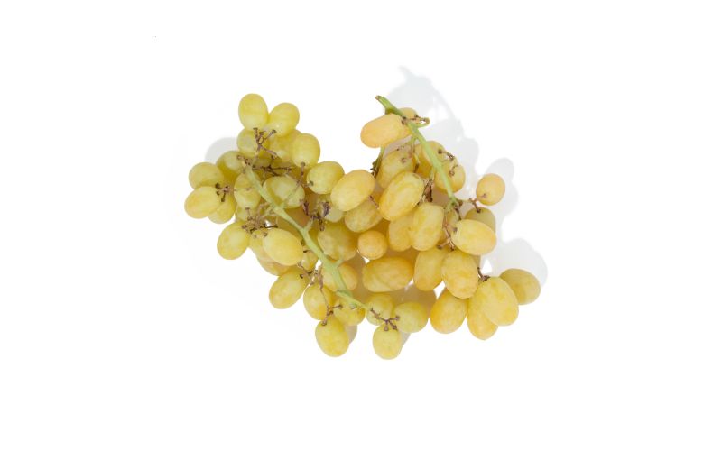 Sweet Carnival Grapes