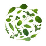 Power 4 Baby Leaf Blend