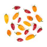 Organic Mixed Mini Sweet Peppers