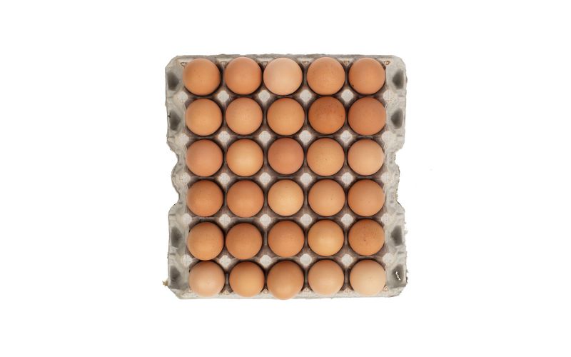 Pasture Raised Large Shell Eggs