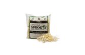 Organic Mung Bean Sprouts