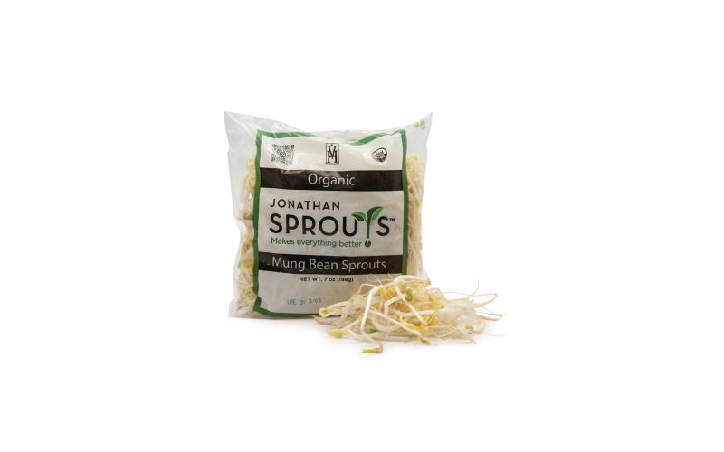 Organic Mung Bean Sprouts